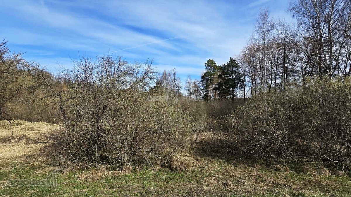 Parduodamas 77.19 arų sklypas Vyčiuose. - nuotraukos Nr. 9