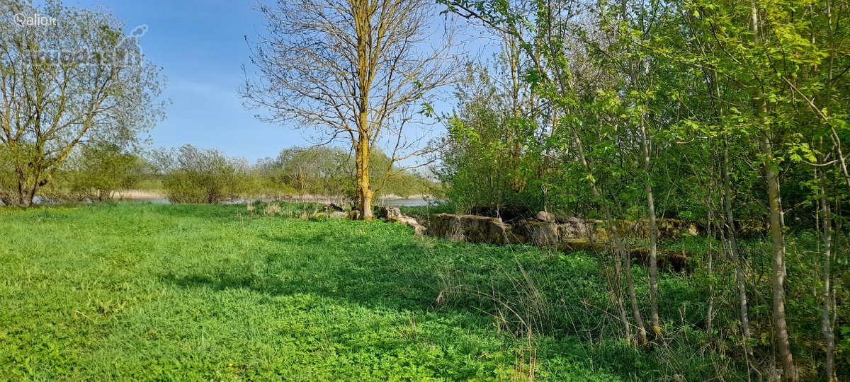 0.76 aru sklypas su 95 metrai Jotainiu - nuotraukos Nr. 16