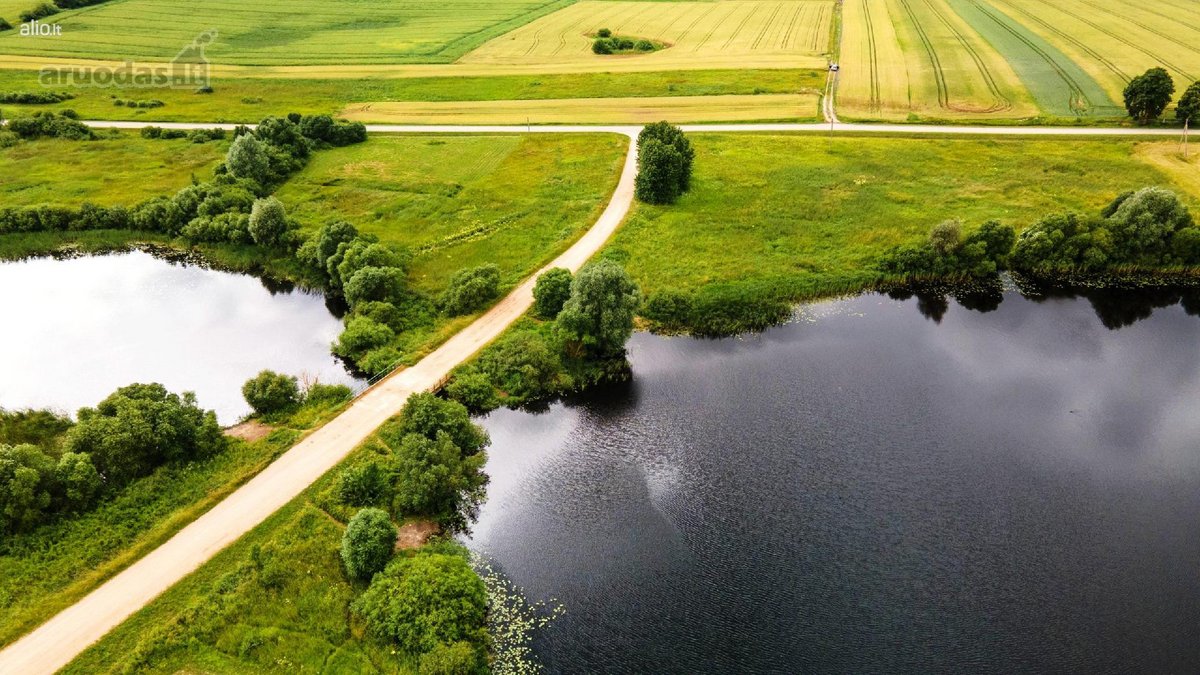 0.76 aru sklypas su 95 metrai Jotainiu - nuotraukos Nr. 17