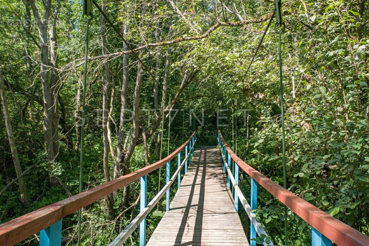 Didelis sklypas prie Šventosios upės - nuotraukos Nr. 10