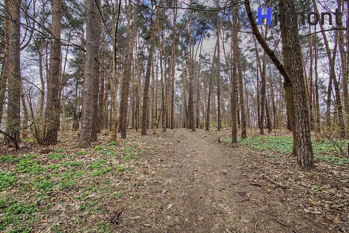 3 Kambarių Butas Ramioje Ir Žalioje Lazdynų - nuotraukos Nr. 10