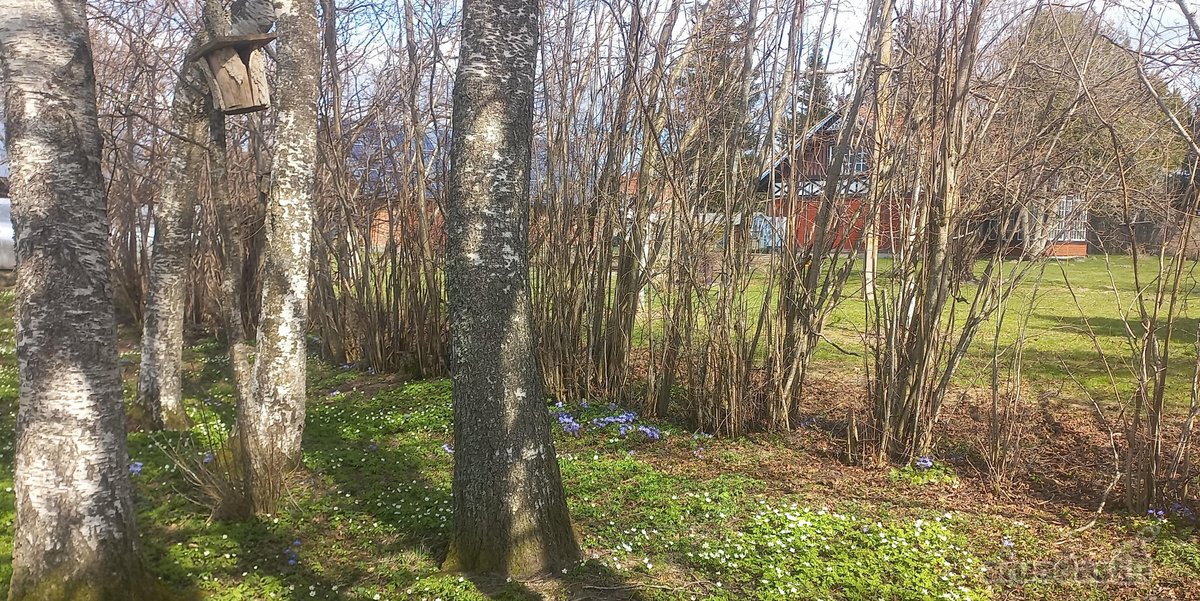 Unikali Restauruota Vokiška Sodyba – - nuotraukos Nr. 21