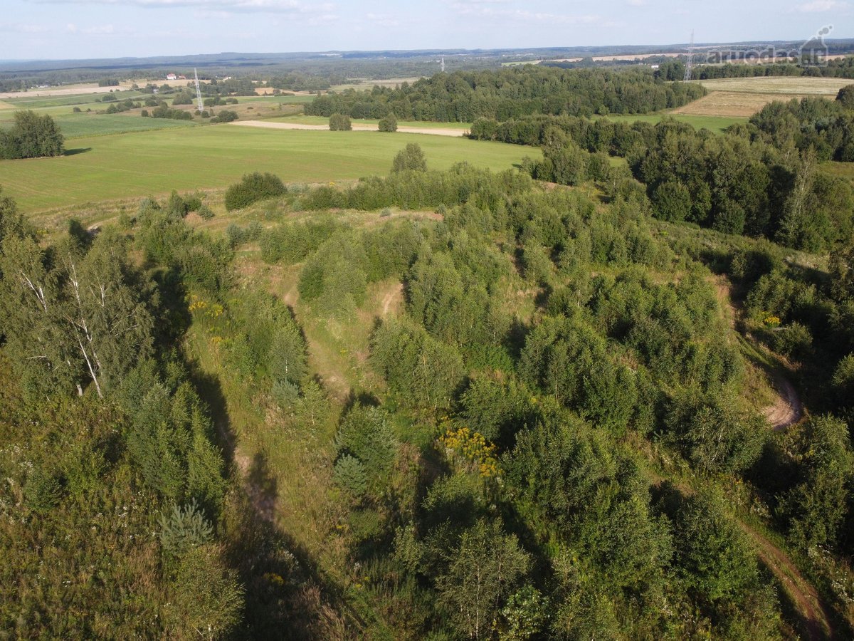 Vilniaus raj. Lukšinės k. parduodama 3.2 ha - nuotraukos Nr. 6