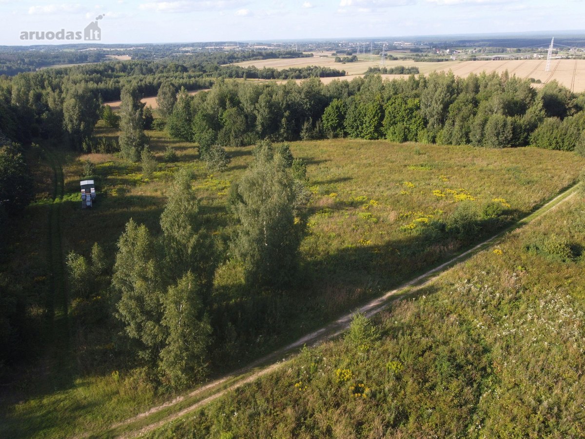 Vilniaus raj. Lukšinės k. parduodama 3.2 ha - nuotraukos Nr. 4