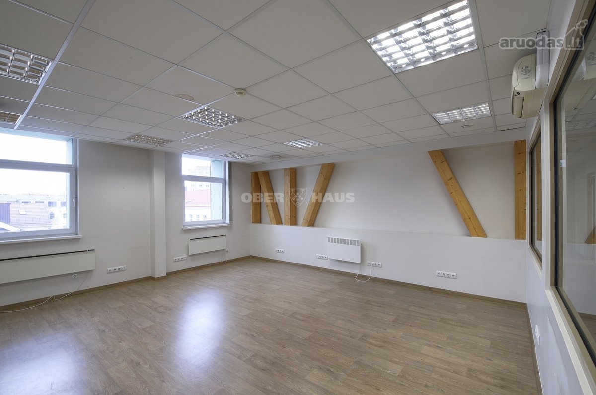 Nuomojamos komercinės patalpos Ibc verslo - nuotraukos Nr. 6