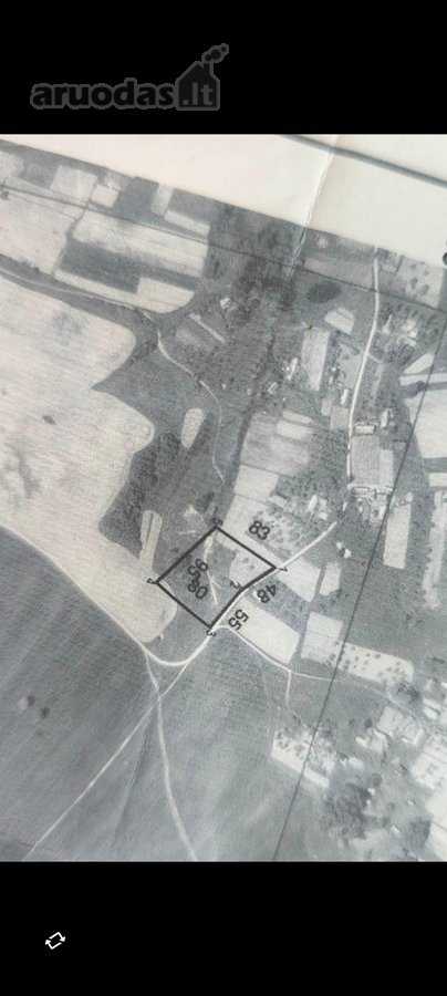 Parduodamas 100 Arų Sklypas Su 25 Arų Namų - nuotraukos Nr. 8