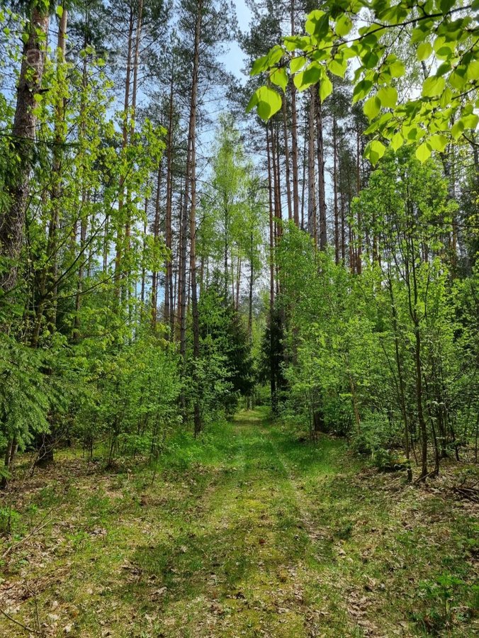 Parduodamas 2 Kambarių Butas Anykščių R. - nuotraukos Nr. 13