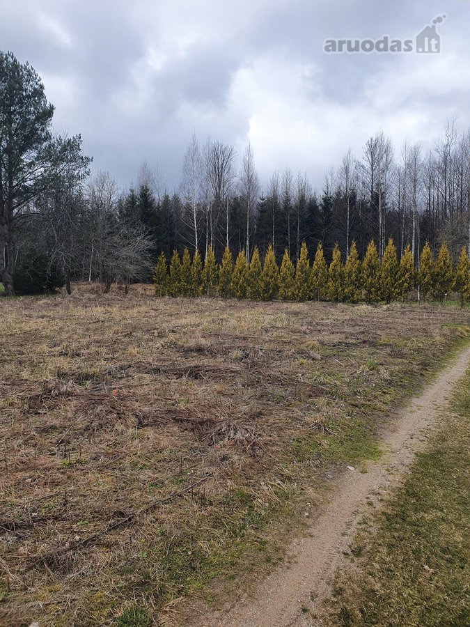 Parduodu žemės sklypą soduose. Esantį Prienų - nuotraukos Nr. 3