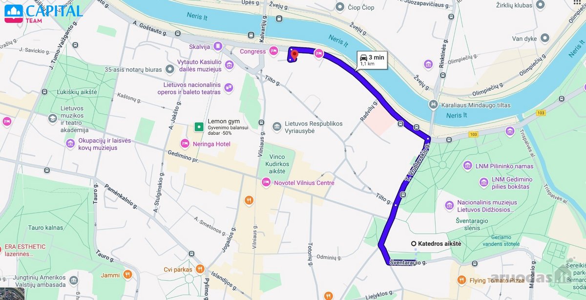 Parduodami Pilnai Įrengti Dviejų Kambarių - nuotraukos Nr. 20