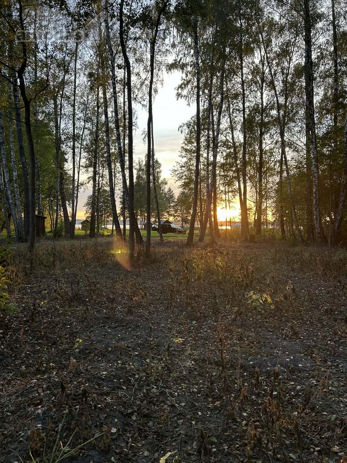 Parduodu sklypa prie Dusios ezero.sklypui - nuotraukos Nr. 11