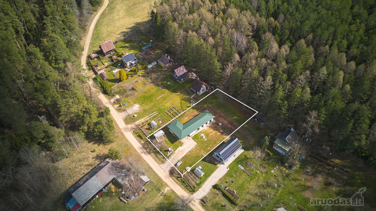 Miško Apsupty, Šalia Prienų Miesto - nuotraukos Nr. 3
