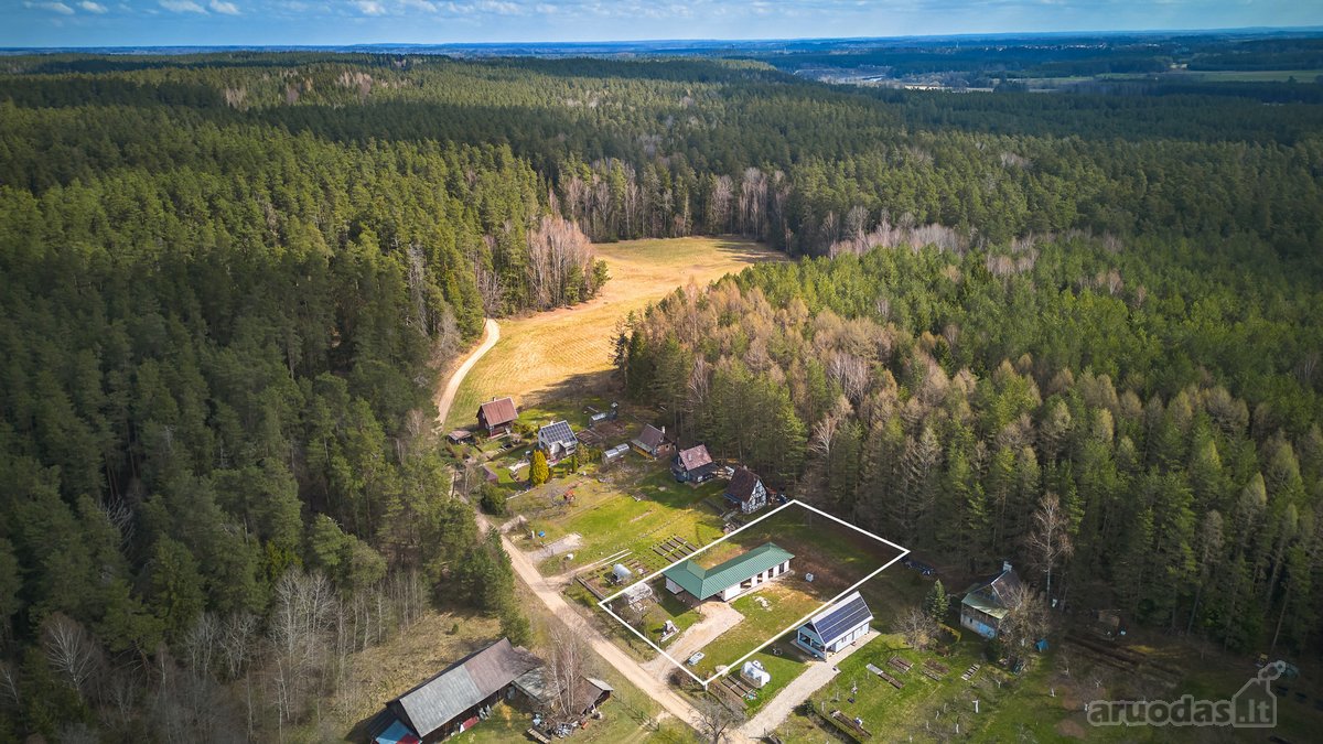 Miško Apsupty, Šalia Prienų Miesto - nuotraukos Nr. 4