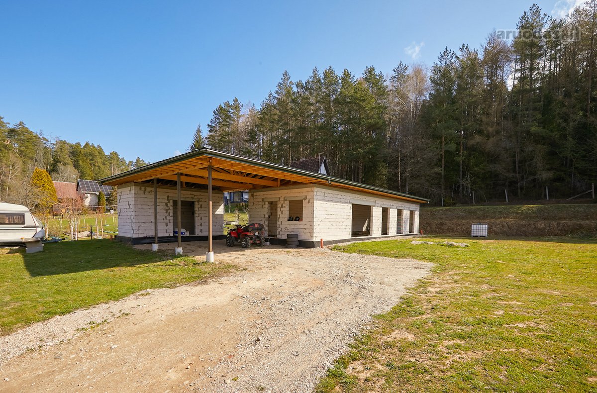 Miško Apsupty, Šalia Prienų Miesto - nuotraukos Nr. 20