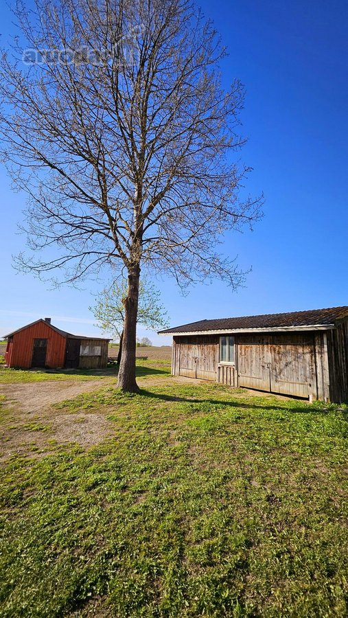 Parduodama sodybą su garantuota ramybę gamtos - nuotraukos Nr. 10