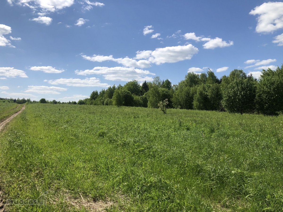 Parduodamas Sklypas Vilniaus Raj., Rūkainių - nuotraukos Nr. 5