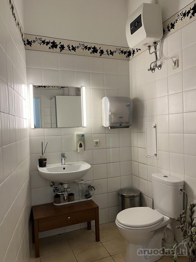 Vilniaus miesto centre prie Lukiškių aikštės - nuotraukos Nr. 8