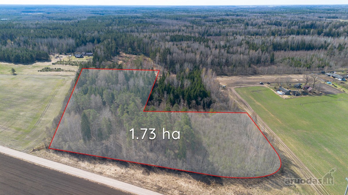 Parduodami Du Miškų Ūkio Paskirties Sklypai - nuotraukos Nr. 3