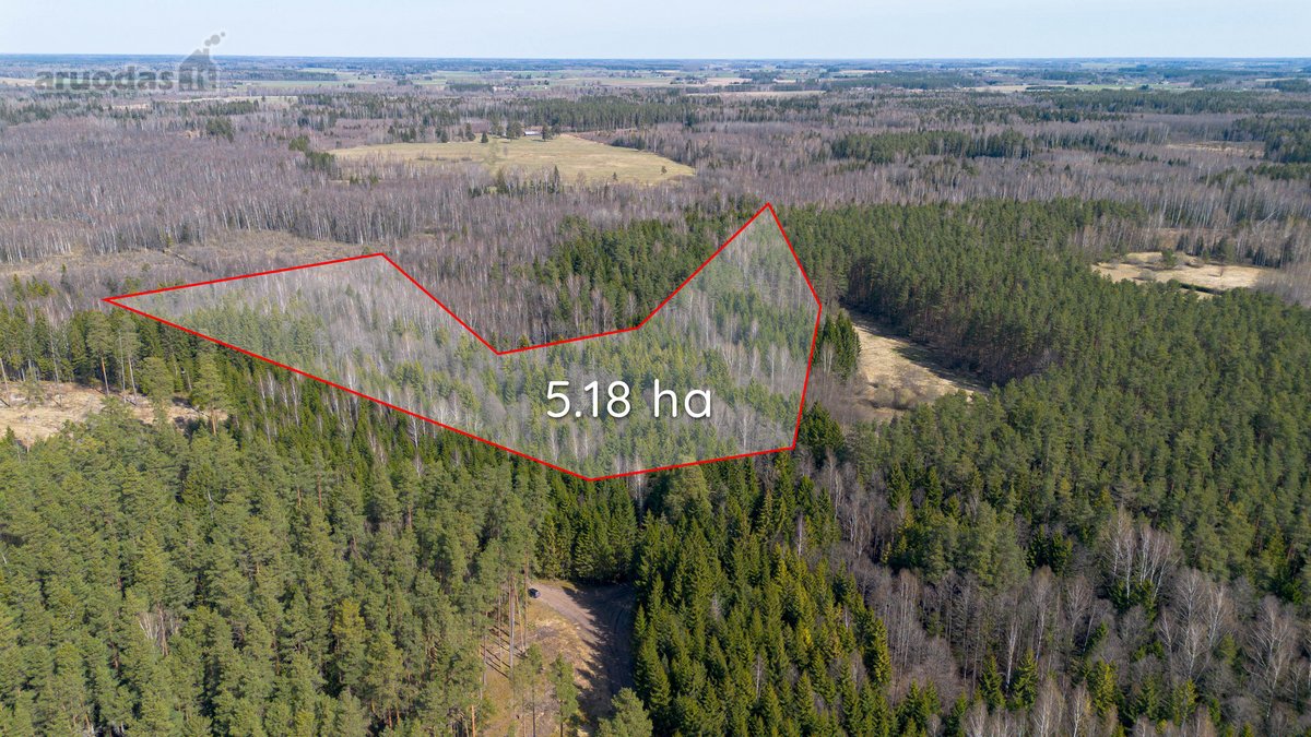 Parduodami Du Miškų Ūkio Paskirties Sklypai - nuotraukos Nr. 2