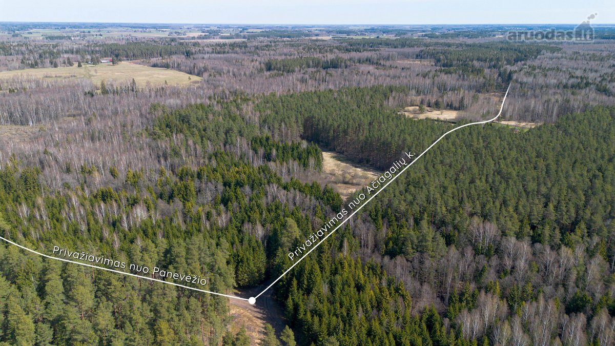 Parduodami Du Miškų Ūkio Paskirties Sklypai - nuotraukos Nr. 8