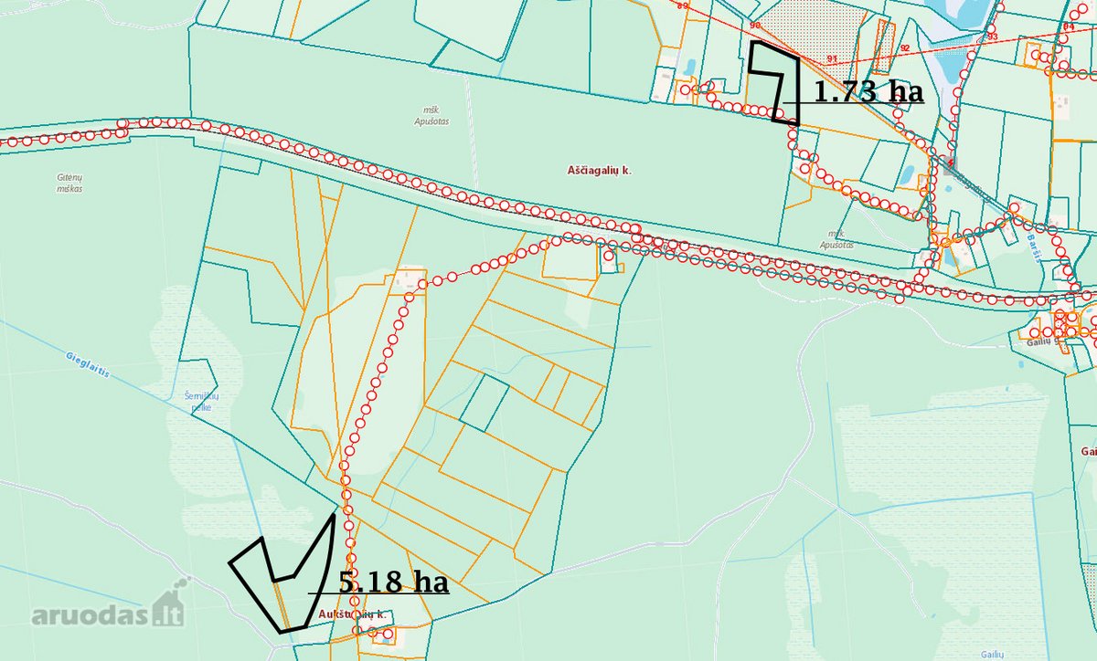 Parduodami Du Miškų Ūkio Paskirties Sklypai - nuotraukos Nr. 11