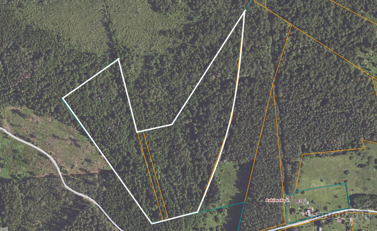 Parduodami Du Miškų Ūkio Paskirties Sklypai - nuotraukos Nr. 10