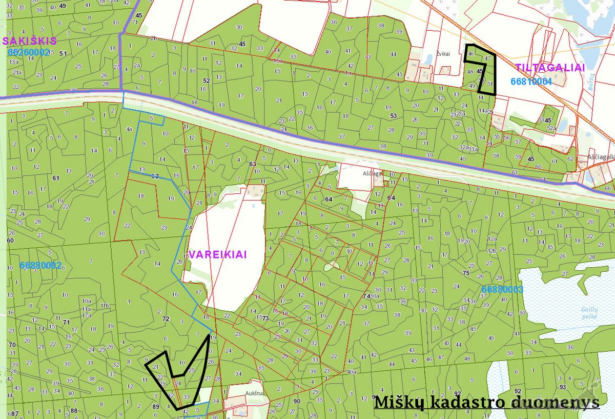 Parduodami Du Miškų Ūkio Paskirties Sklypai - nuotraukos Nr. 13