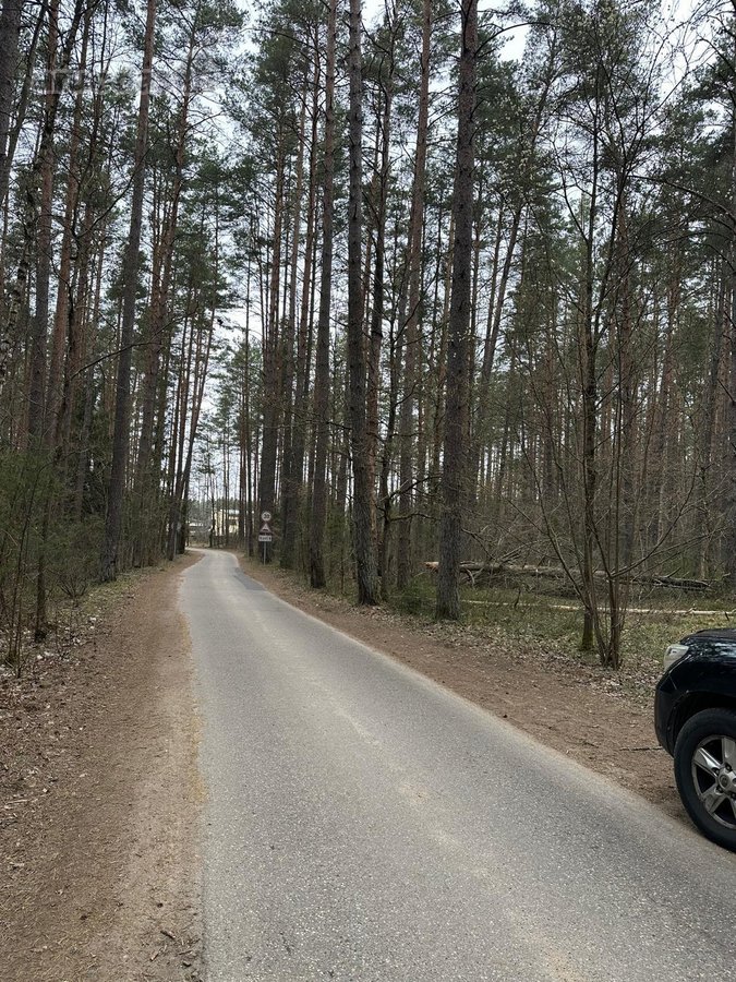 Parduodu nuo 5 iki 100 arų sklypus - nuotraukos Nr. 2