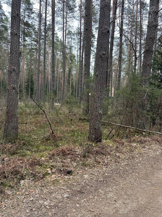 Parduodu nuo 5 iki 100 arų sklypus - nuotraukos Nr. 5