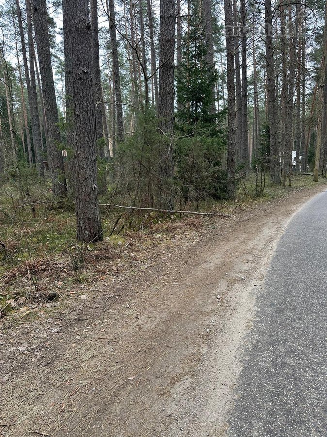 Parduodu nuo 5 iki 100 arų sklypus - nuotraukos Nr. 7