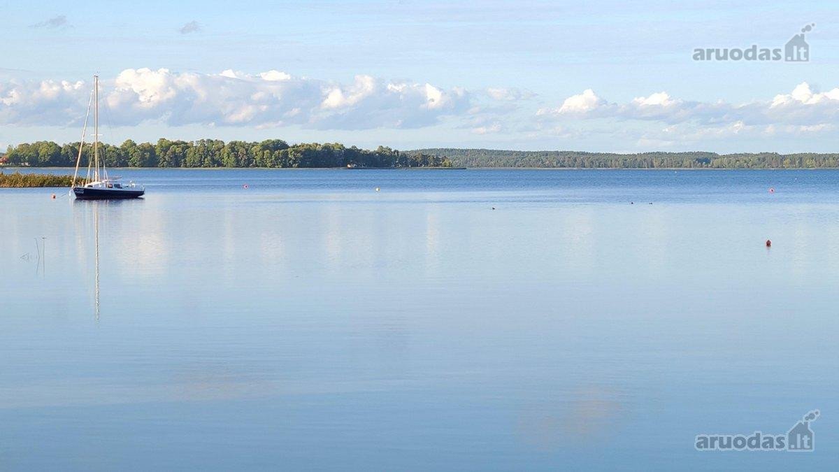 Parduodama 0.75 ha sodyba prie didelio - nuotraukos Nr. 21