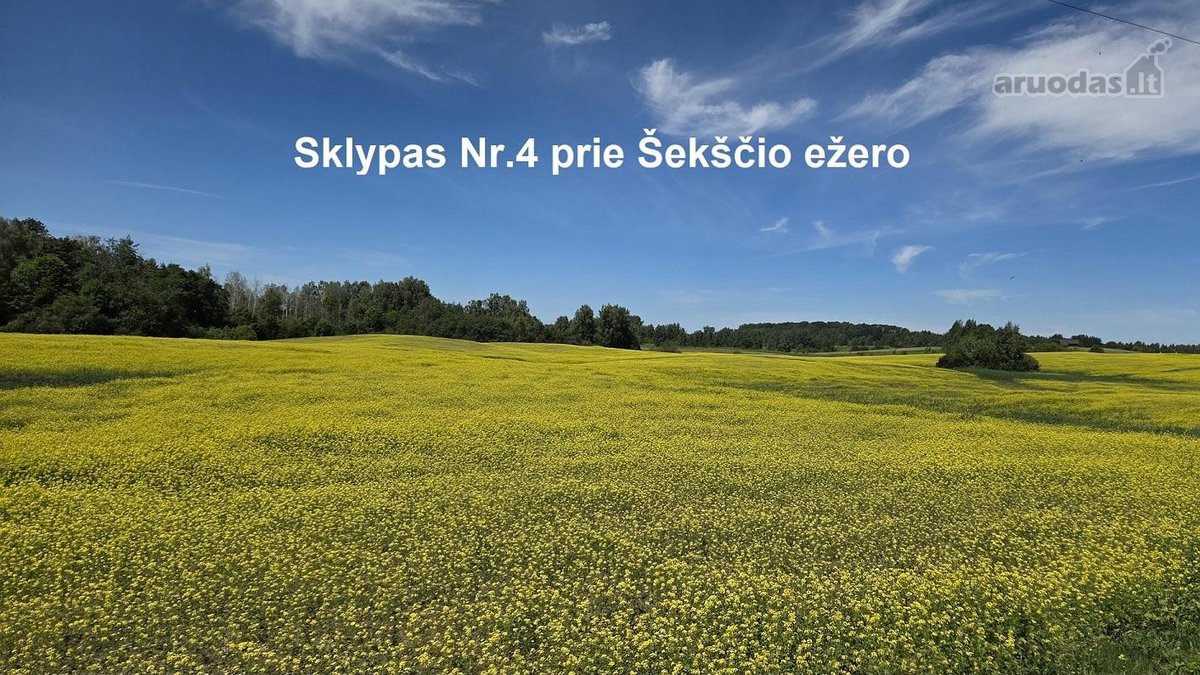 Parduodama 0.75 ha sodyba prie didelio - nuotraukos Nr. 26