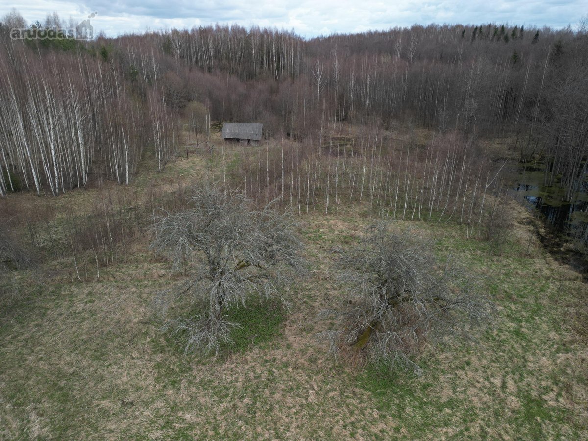 Parduodama sena sodyba išskirtinėje vietoje – - nuotraukos Nr. 7