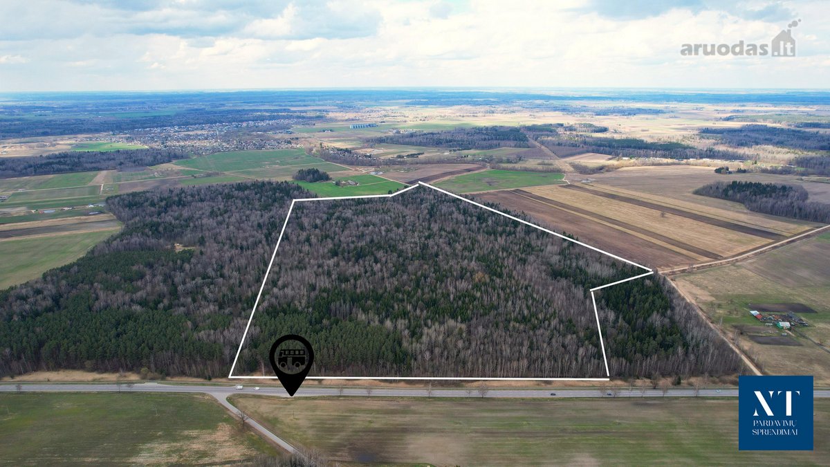 Parduodamas 50,10 ha miškų ūkio paskirties - nuotraukos Nr. 3