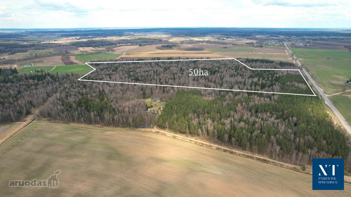 Parduodamas 50,10 ha miškų ūkio paskirties - nuotraukos Nr. 5