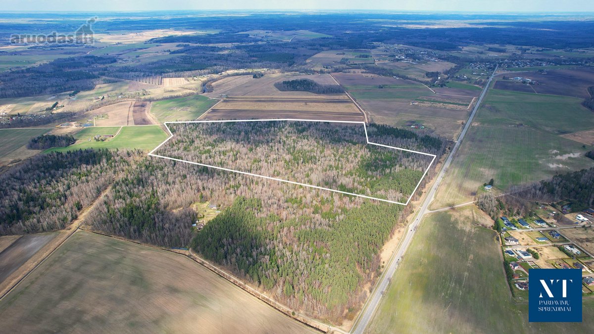 Parduodamas 50,10 ha miškų ūkio paskirties - nuotraukos Nr. 6