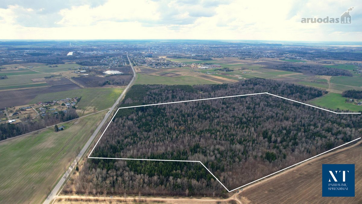 Parduodamas 50,10 ha miškų ūkio paskirties - nuotraukos Nr. 4