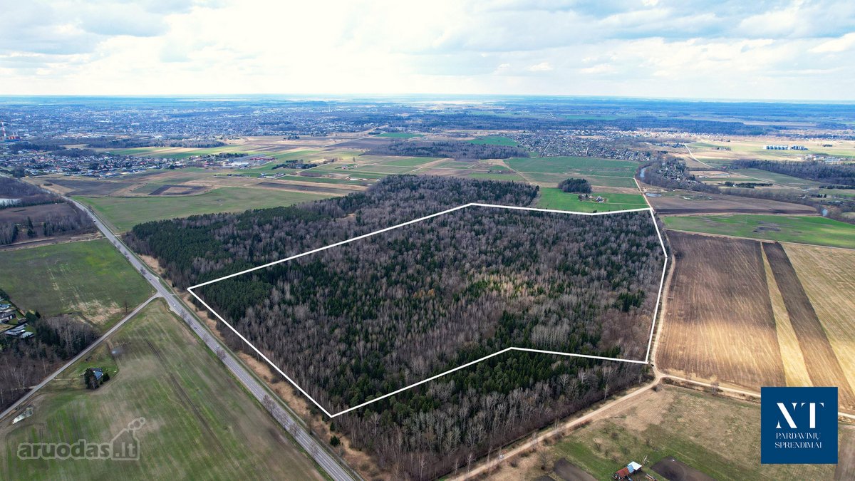 Parduodamas 50,10 ha miškų ūkio paskirties - nuotraukos Nr. 7