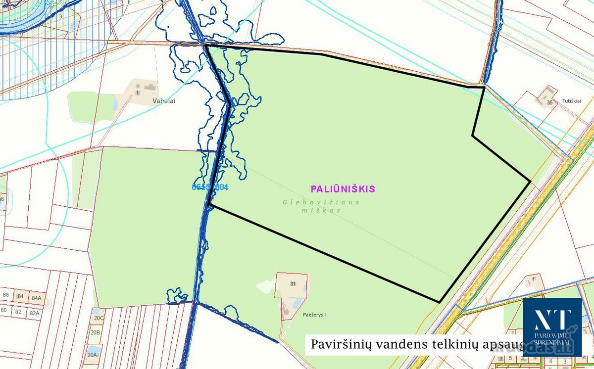 Parduodamas 50,10 ha miškų ūkio paskirties - nuotraukos Nr. 8