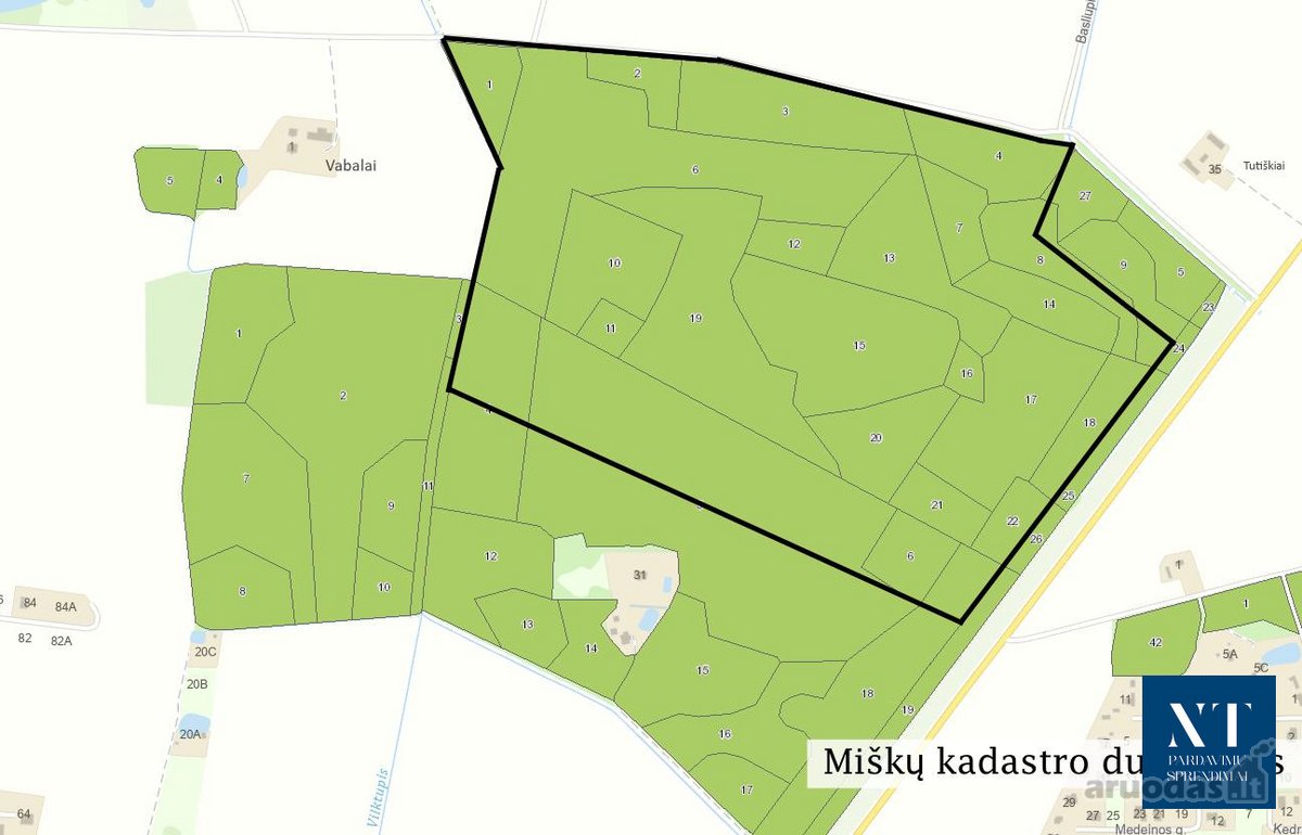 Parduodamas 50,10 ha miškų ūkio paskirties - nuotraukos Nr. 9