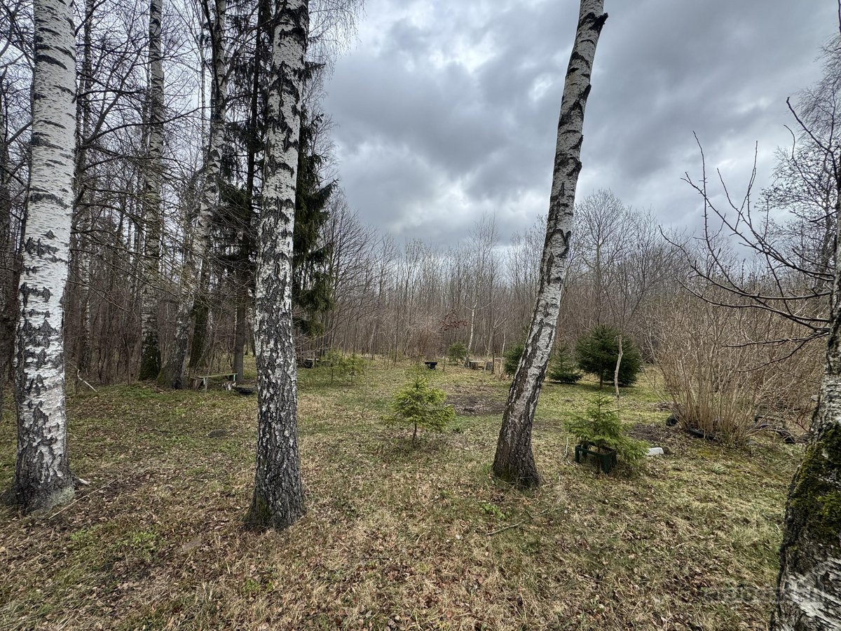 8min nuo Kauno! Parduodamas jaukus, gamtos - nuotraukos Nr. 21