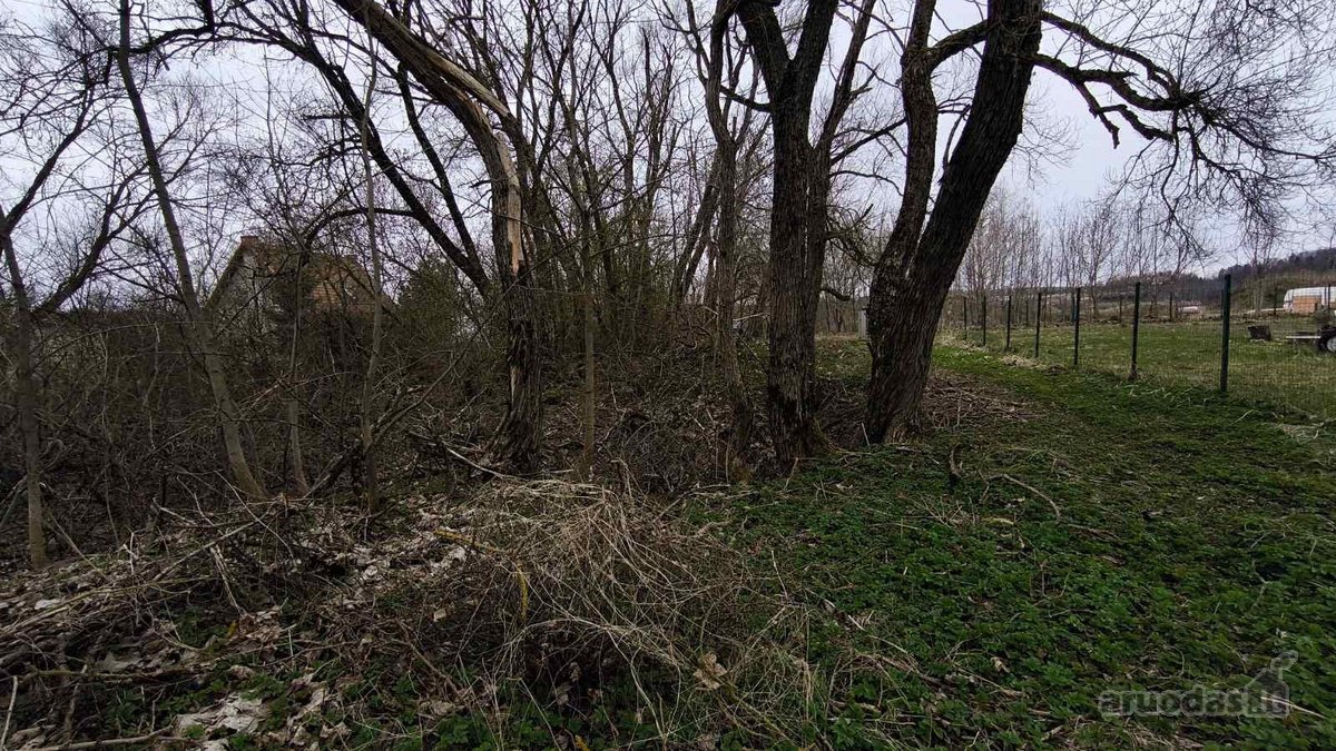 Vilniaus r. sav., Bendorių k. - nuotraukos Nr. 3
