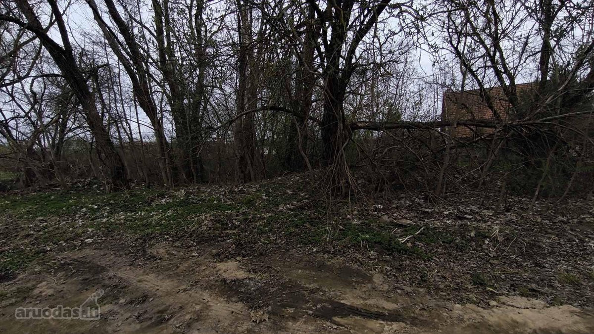 Vilniaus r. sav., Bendorių k. - nuotraukos Nr. 5