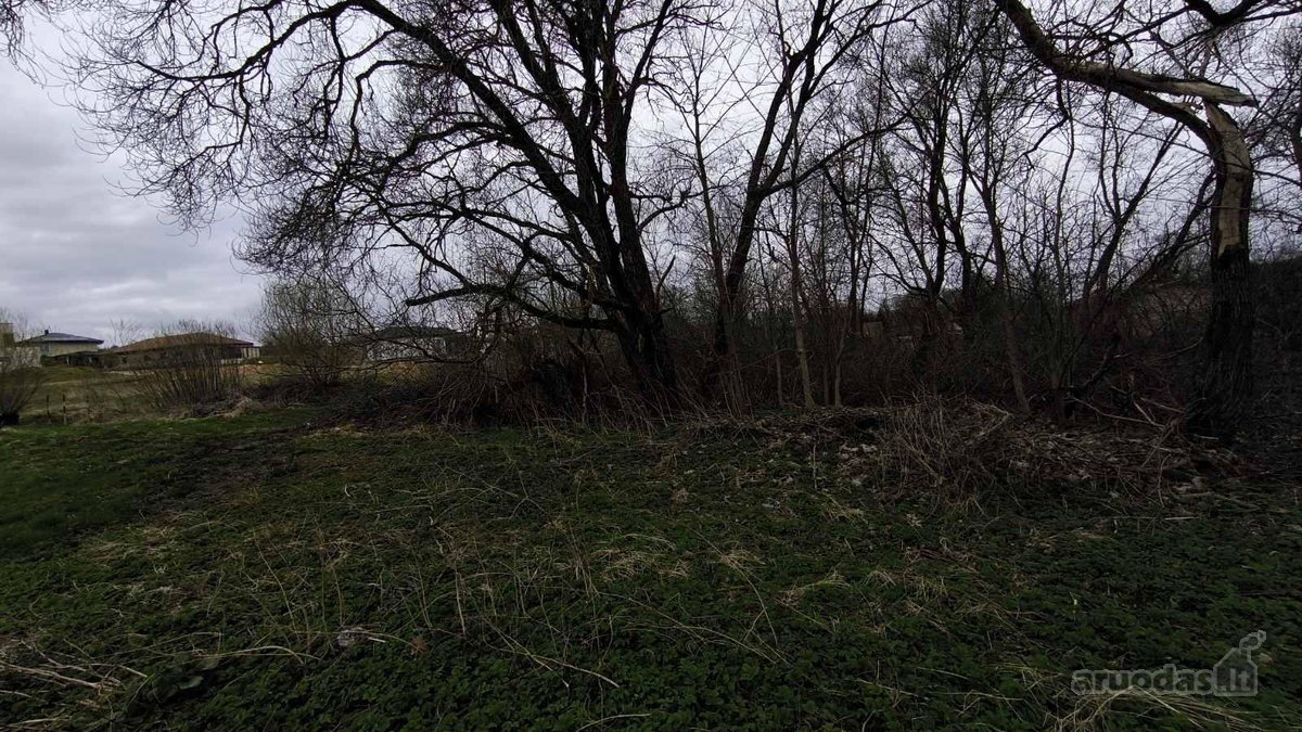 Vilniaus r. sav., Bendorių k. - nuotraukos Nr. 7
