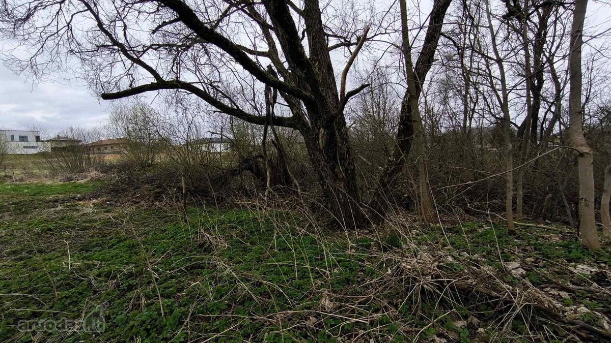 Vilniaus r. sav., Bendorių k. - nuotraukos Nr. 12