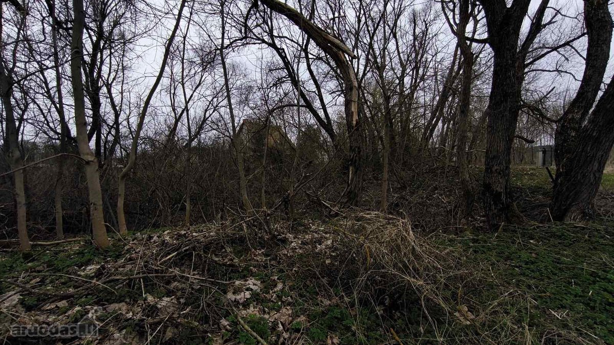 Vilniaus r. sav., Bendorių k. - nuotraukos Nr. 13