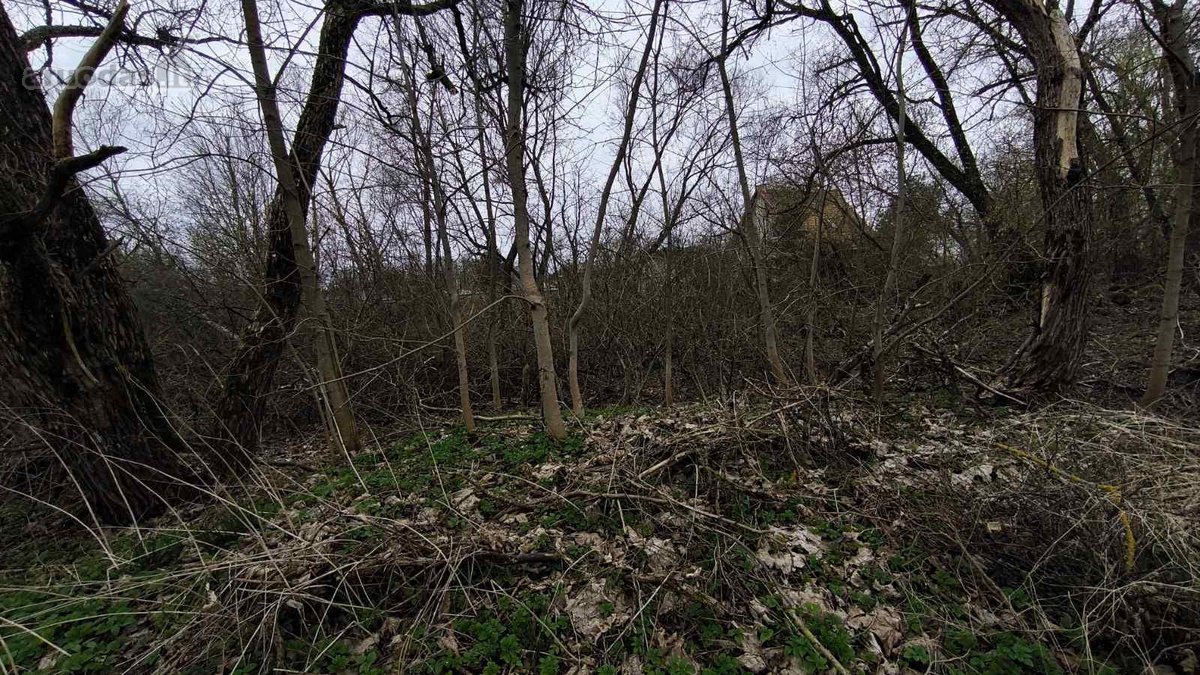 Vilniaus r. sav., Bendorių k. - nuotraukos Nr. 17
