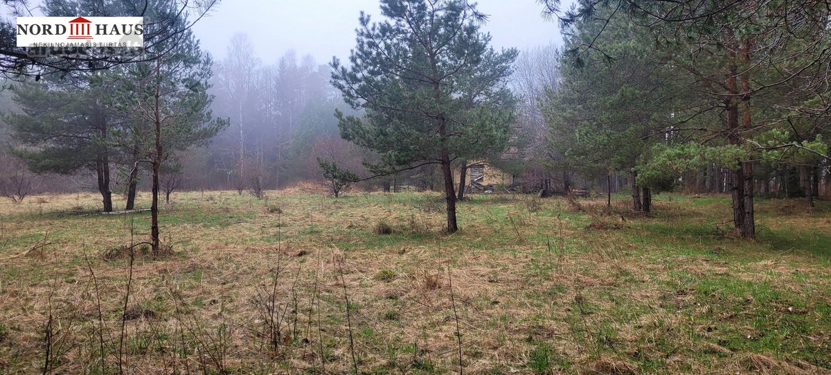 Dėmesio ! Dar Sumažinome Kainą ( buvo 240 - nuotraukos Nr. 2