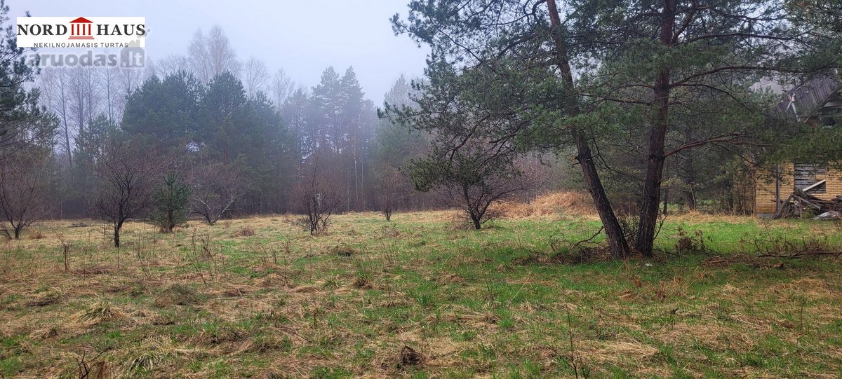 Dėmesio ! Dar Sumažinome Kainą ( buvo 240 - nuotraukos Nr. 3