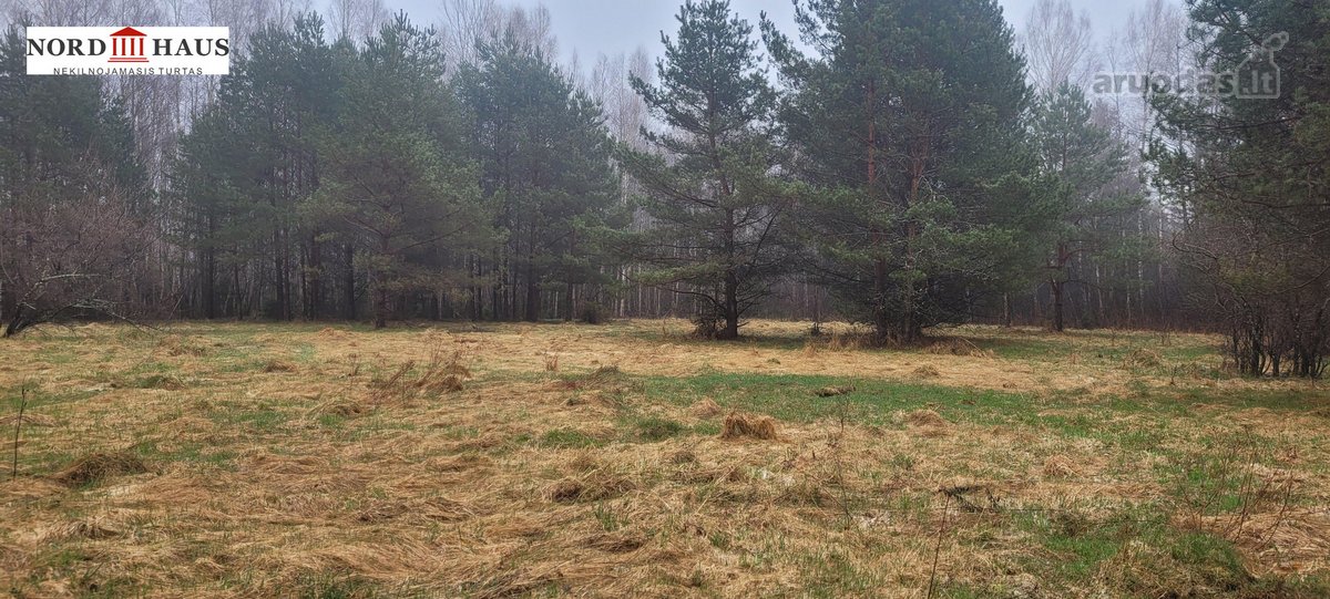 Dėmesio ! Dar Sumažinome Kainą ( buvo 240 - nuotraukos Nr. 7