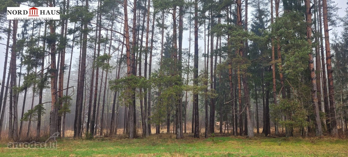 Dėmesio ! Dar Sumažinome Kainą ( buvo 240 - nuotraukos Nr. 8